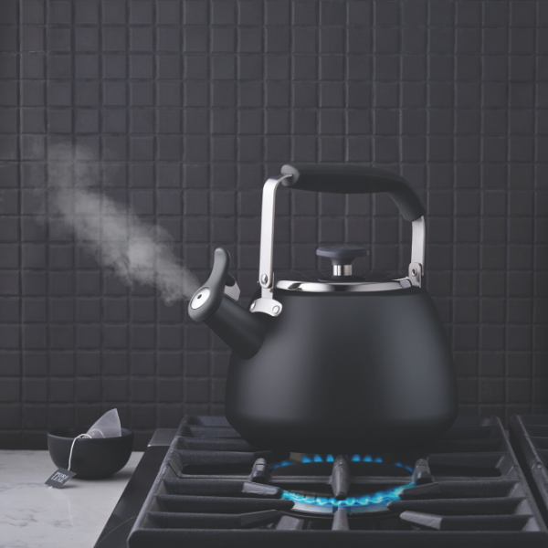 Stormy Black Stainless Steel Stovetop Kettle Paderno
